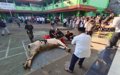 Mempererat Ukhuwah Melalui Kegiatan Idul Adha Di MTsN 1 Jakarta